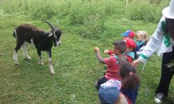CLSH Ete 2017   048